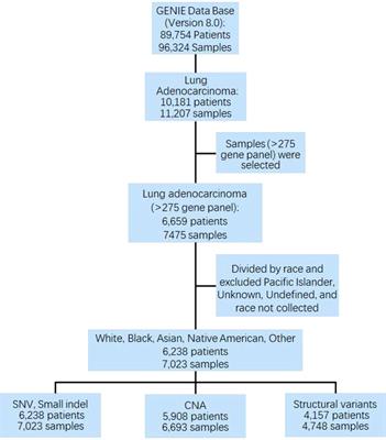 Genomic landscape of lung adenocarcinomas in different races